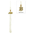 White Academic Tassel 2023 - Graduation Cap&Gown